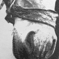 Strefa zwierzaka - www15.png